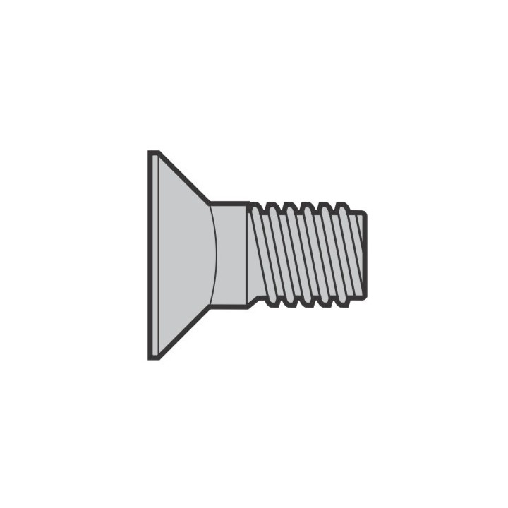 Lot de 10 Boulons à tête fraisée M5 x 12 avec Torx autotaraudeuse Hormann Référence 4005211