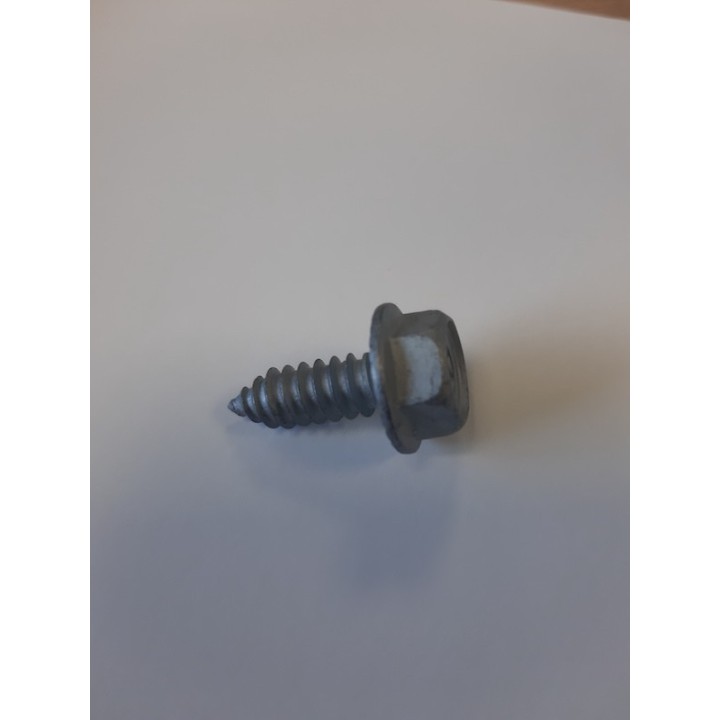 Lot de 10 vis B8 x 22 GEOMET Hormann Référence 3095164