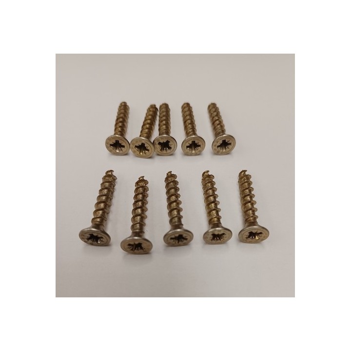 Lot 10 Vis 5 x 30 galvanisé Hormann Référence 3028615