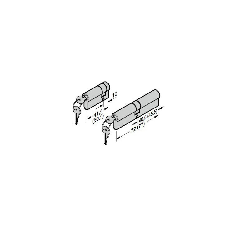 lot de 2 cylindres profilé porte basculante avec portillon hormann